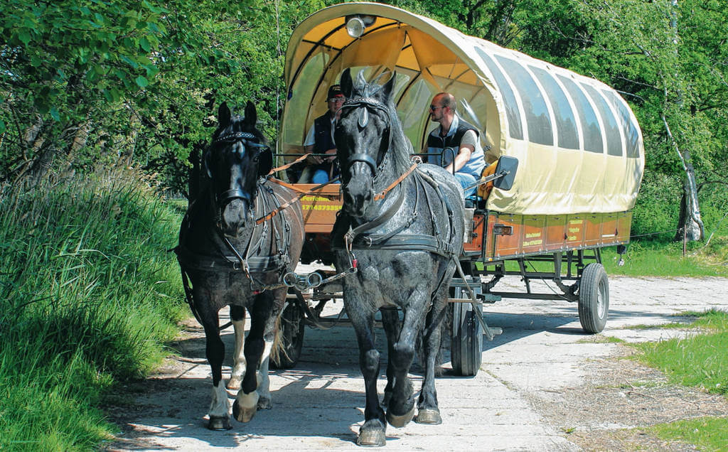 Ein Planwagen wird von zwei Pferden über einen Weg mit Bäumen am Wegesrand gezogen, auf dem Wagen sitzen zwei Männer, einer hält die Zügel.