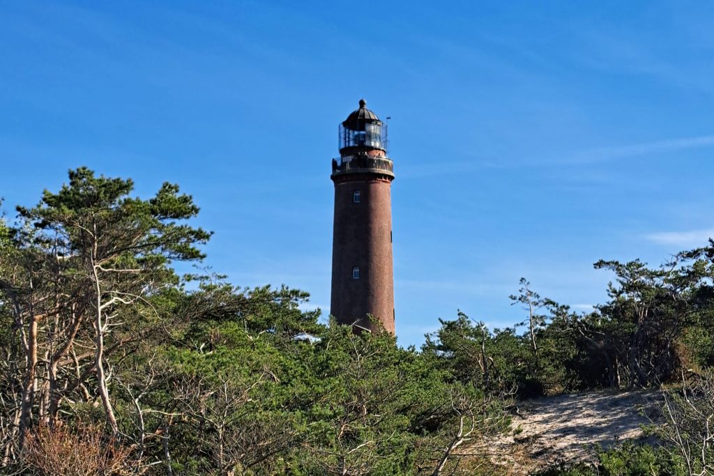 Der Leuchtturm Darsser Ort, ein Backsteinturm vor blauem Himmel, im Vordergrund eine bewaldete Dünenlandschaft.