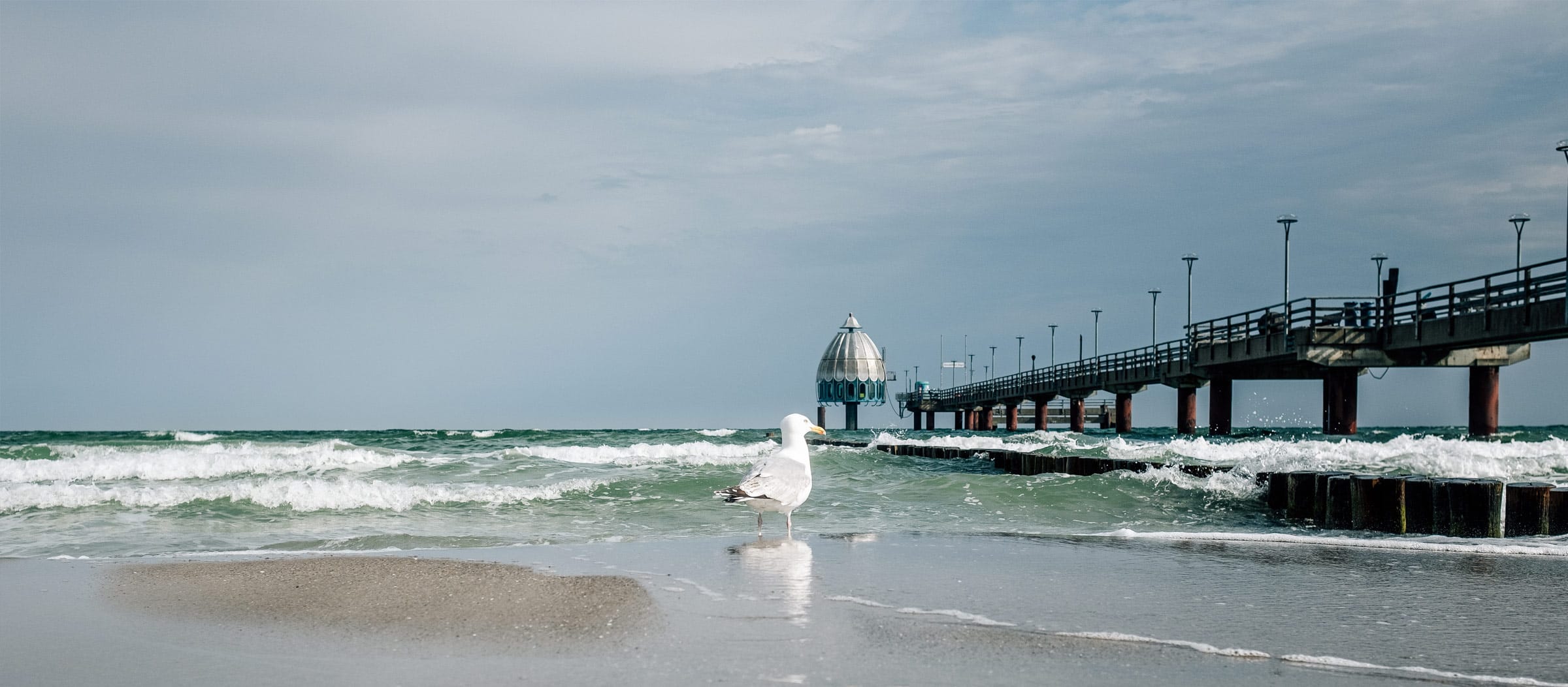 Rechts die Seebrücke Zingst, die auf die Ostsee hinaus führt, am Ende der Seebrücke die metallene Tauchgondel Zingst. Links davon die Ostsee mit Wellen, in der Mitte eine Möwe im Wasser am Strand.