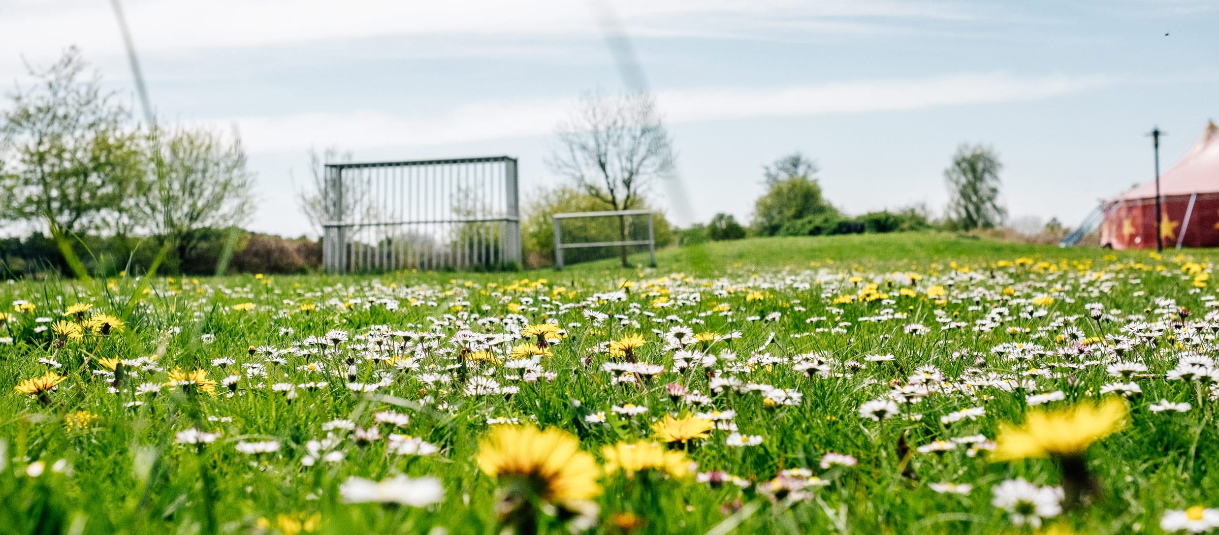 Eine Wiese mit Sommerblumen im Außenbereich der Ostseeklinik, auf der Wiese zwei Fußballtore, rechts im Hintergrund ein rotes Zirkuszelt.